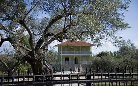 Villa Anna