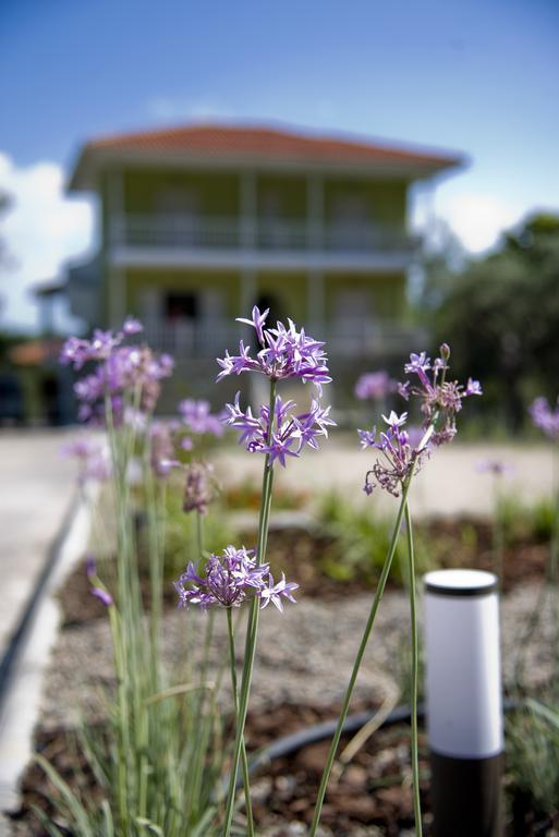Olivegrove House Apartment Vourvourou Exterior foto